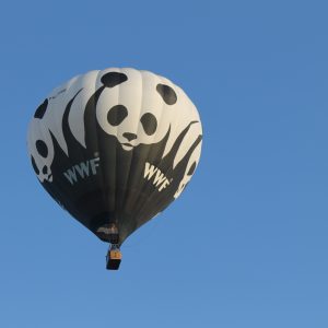 180831 – Ballonvaart Meerstad naar Schipborg 39