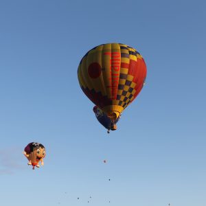 180831 – Ballonvaart Meerstad naar Schipborg 49