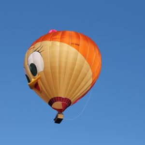 180831 – Ballonvaart Meerstad naar Schipborg 5