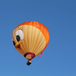 180831 – Ballonvaart Meerstad naar Schipborg 6