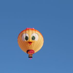 180831 – Ballonvaart Meerstad naar Schipborg 7