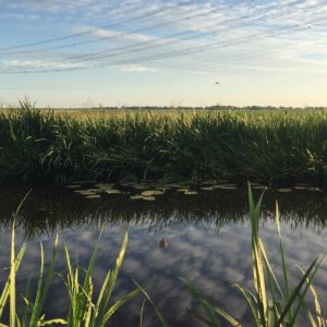 190705-Ballonvaart-Veendam-naar-Veele-Vlagtwedde-6