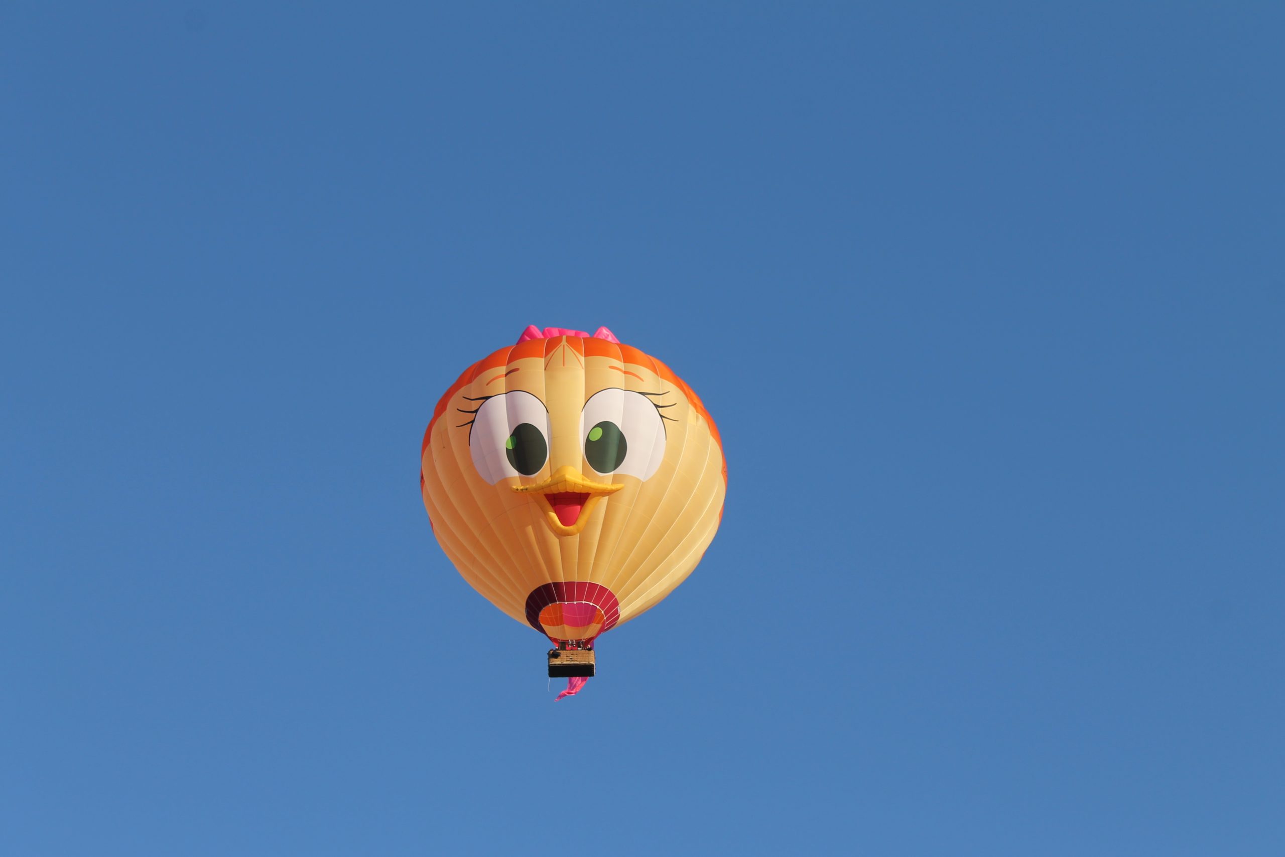 180831-Ballonvaart-Meerstad-naar-Schipborg-7-1