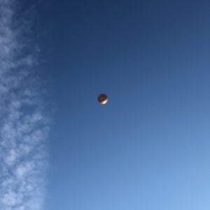 200730-Ballonvaart-Stadskanaal-naar-Drouwenermond-16