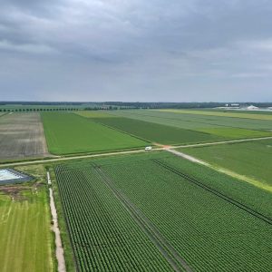 220610-Ballonvaart-Gieterveen-naar-Wedderveer-6