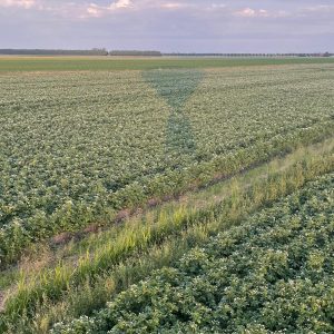 230711-Ballonvaart-Veendam-naar-Vlagtwedde-10