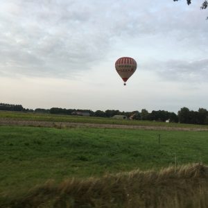 IMG_4947