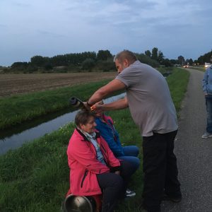 IMG_4949