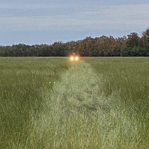 240708 – Ballonvaart Veendam naar Nooitgedacht 4